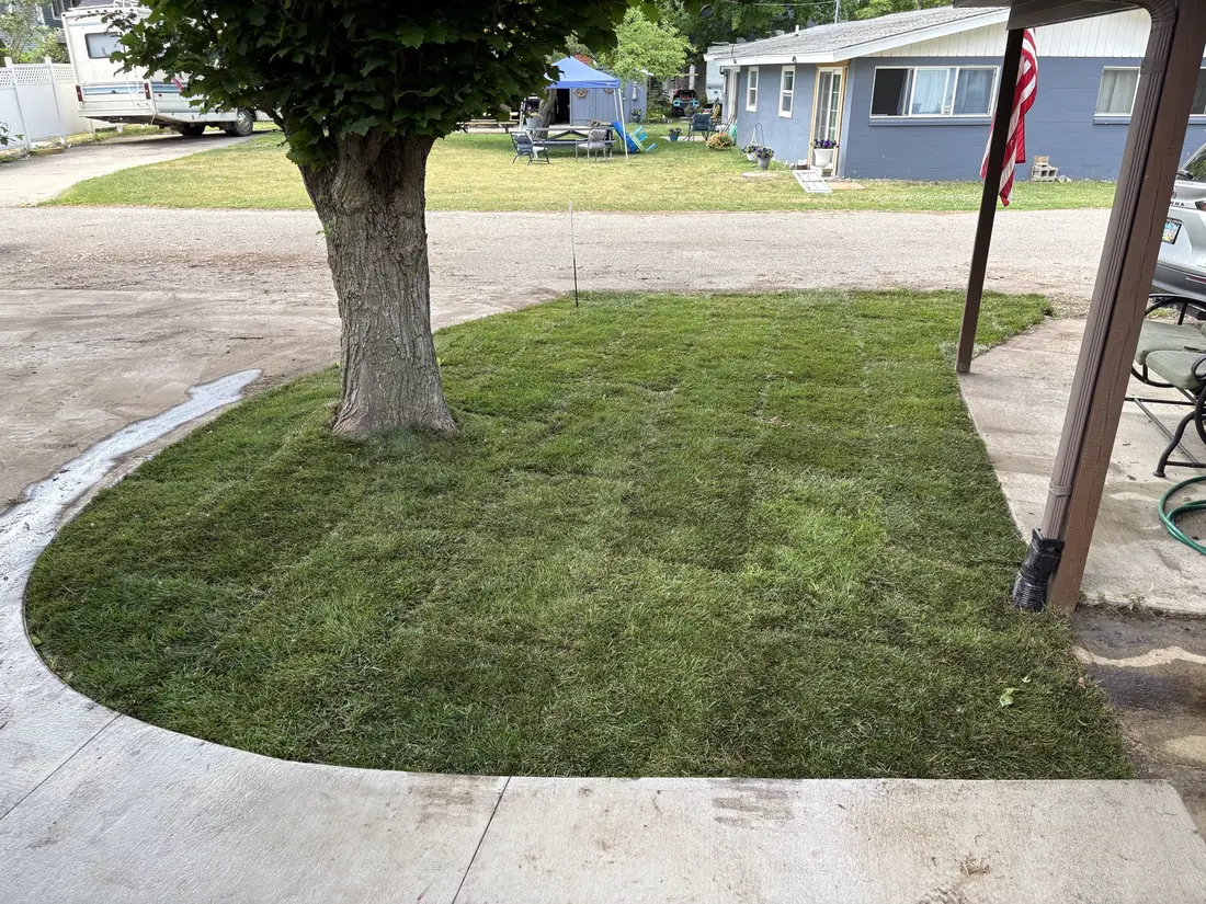 Landscaped property