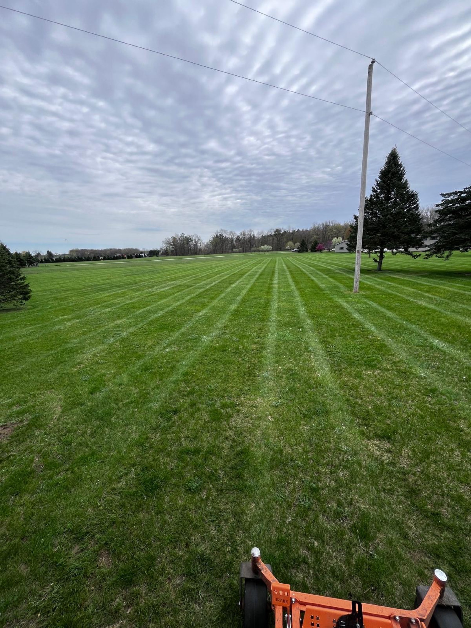 lawn-care project