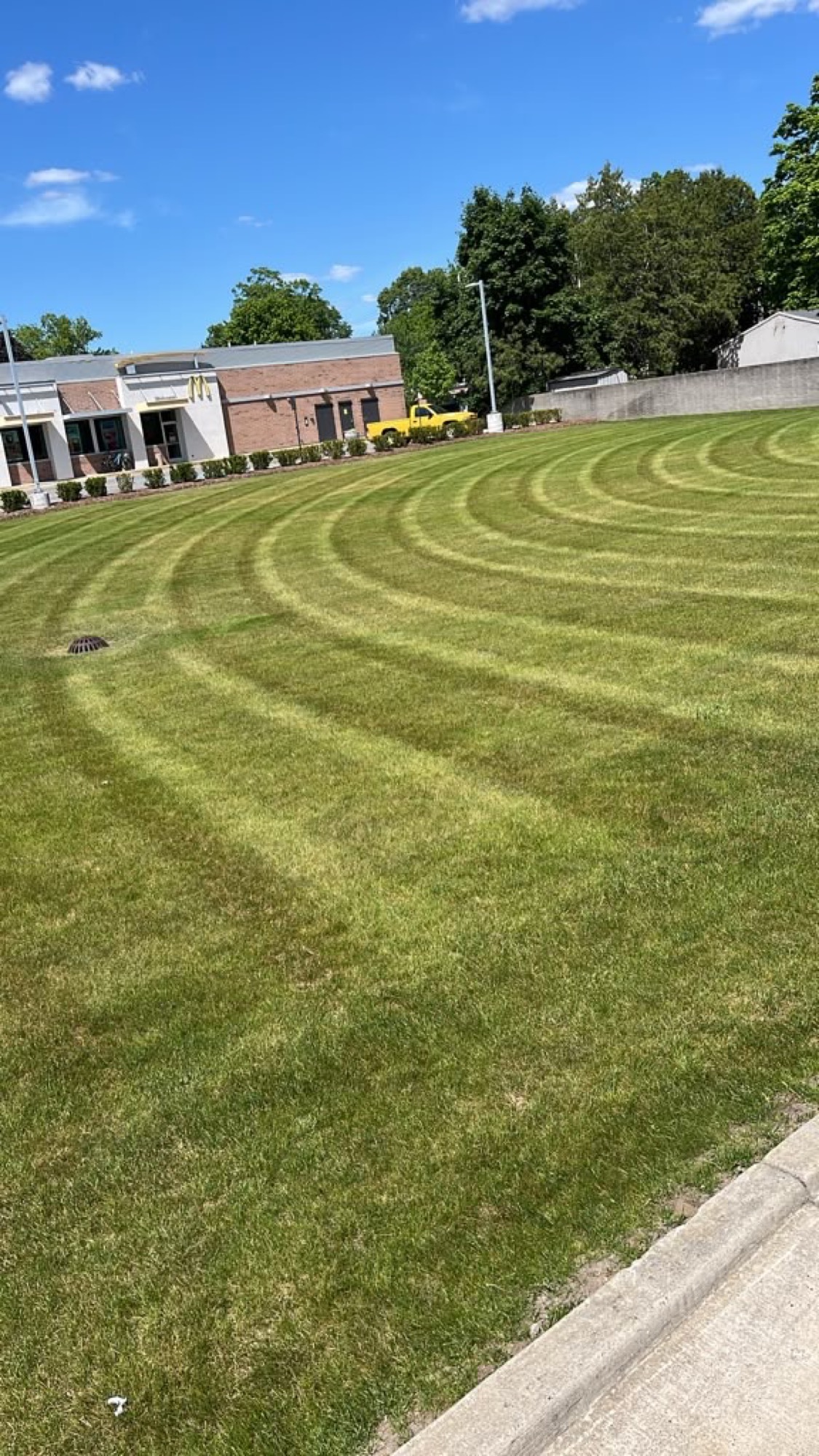 lawn-care project