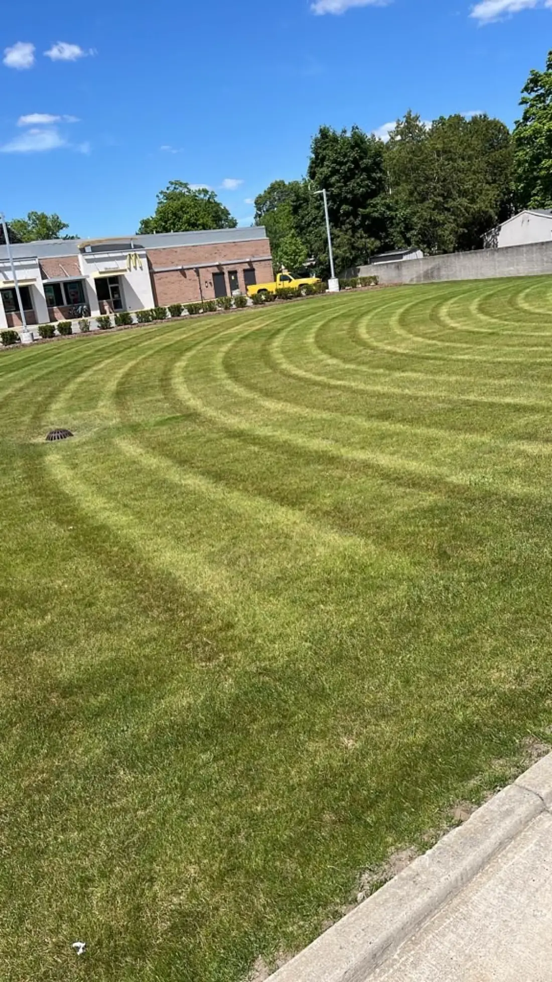Lawn Care project by North Shade Lawn