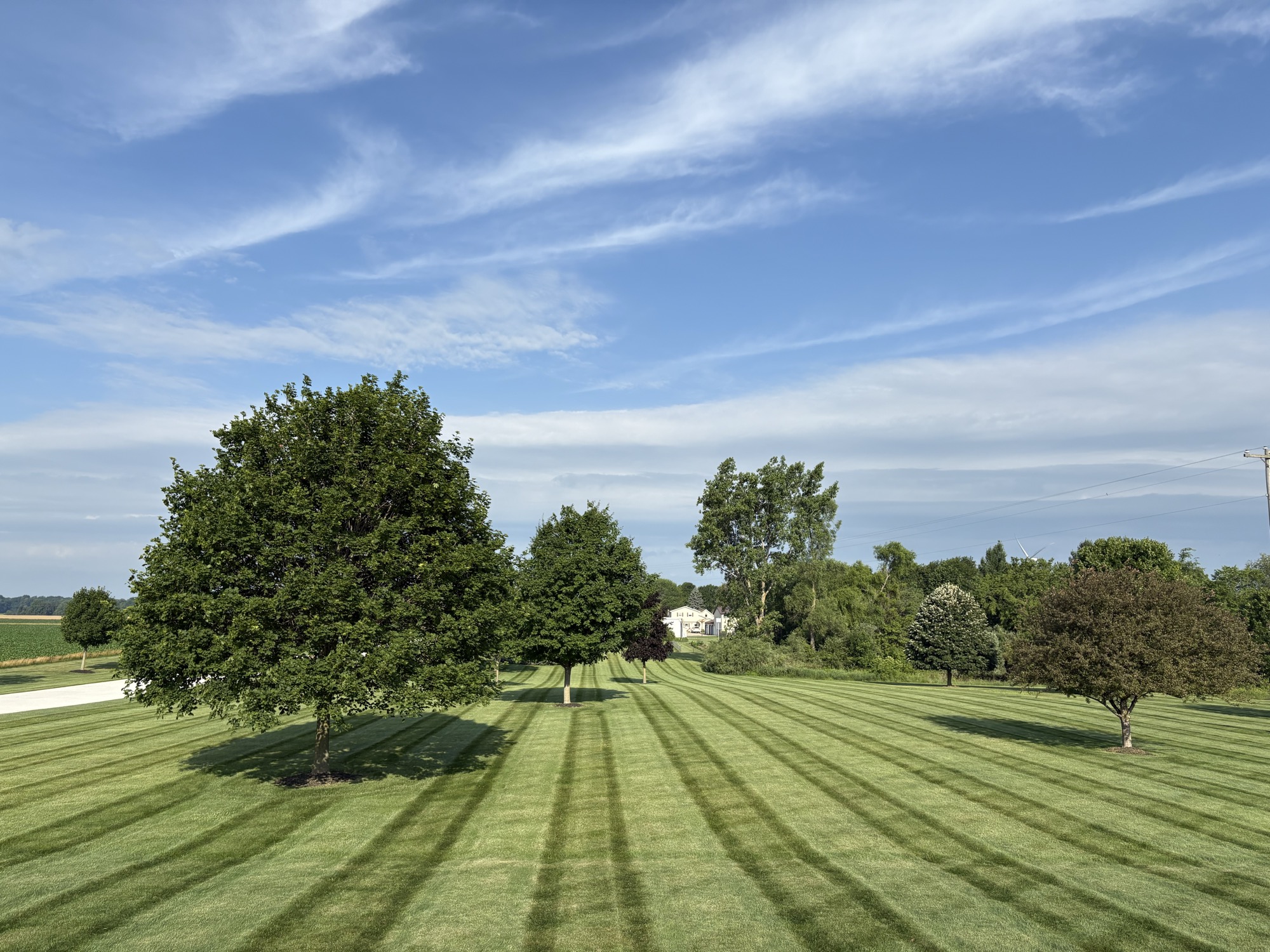 Freshly mowed striped lawn