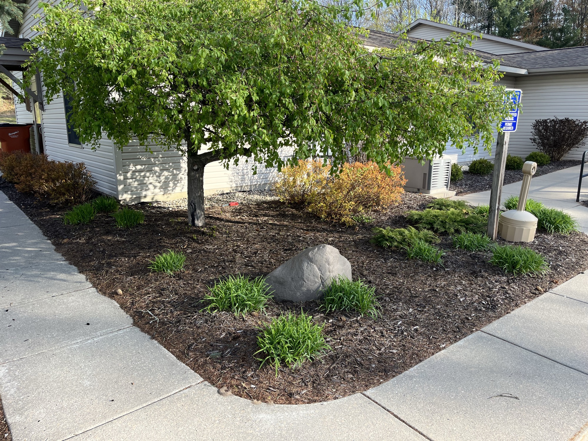 Freshly mulched garden bed