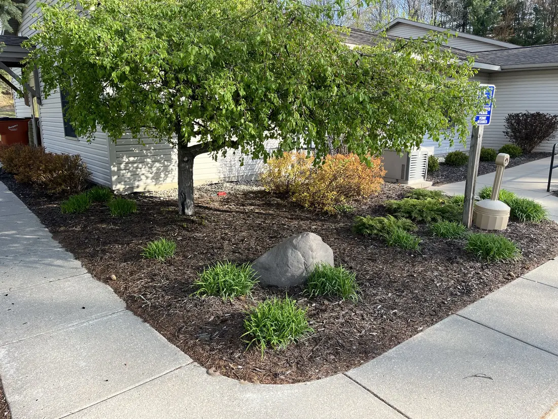 Freshly mulched garden bed