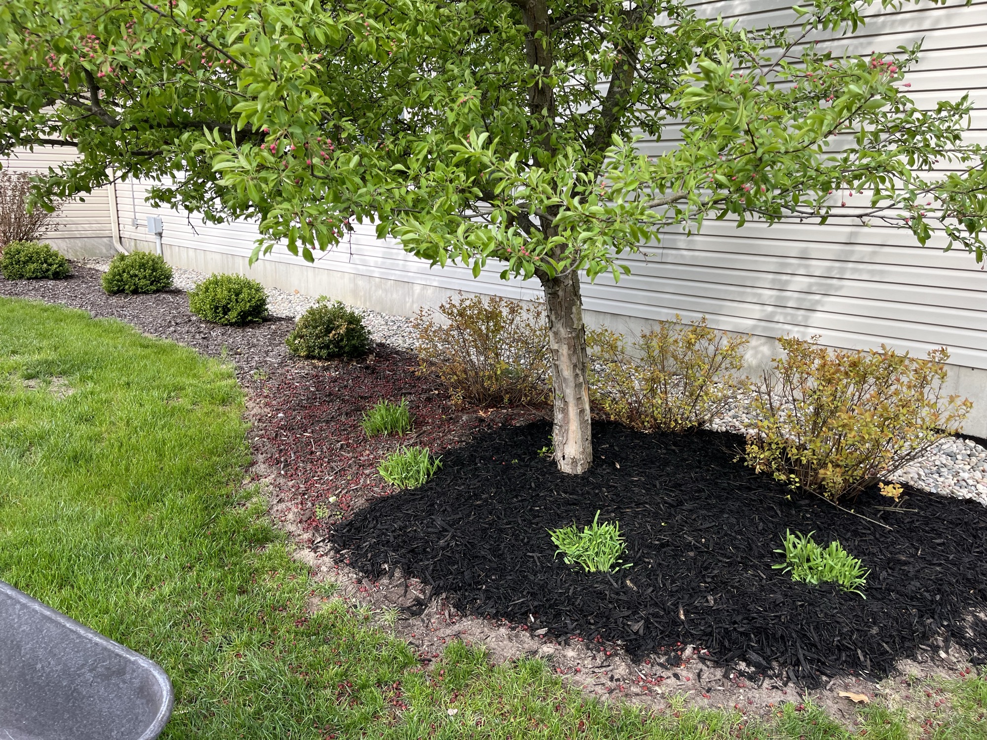 Mulching project by North Shade Lawn