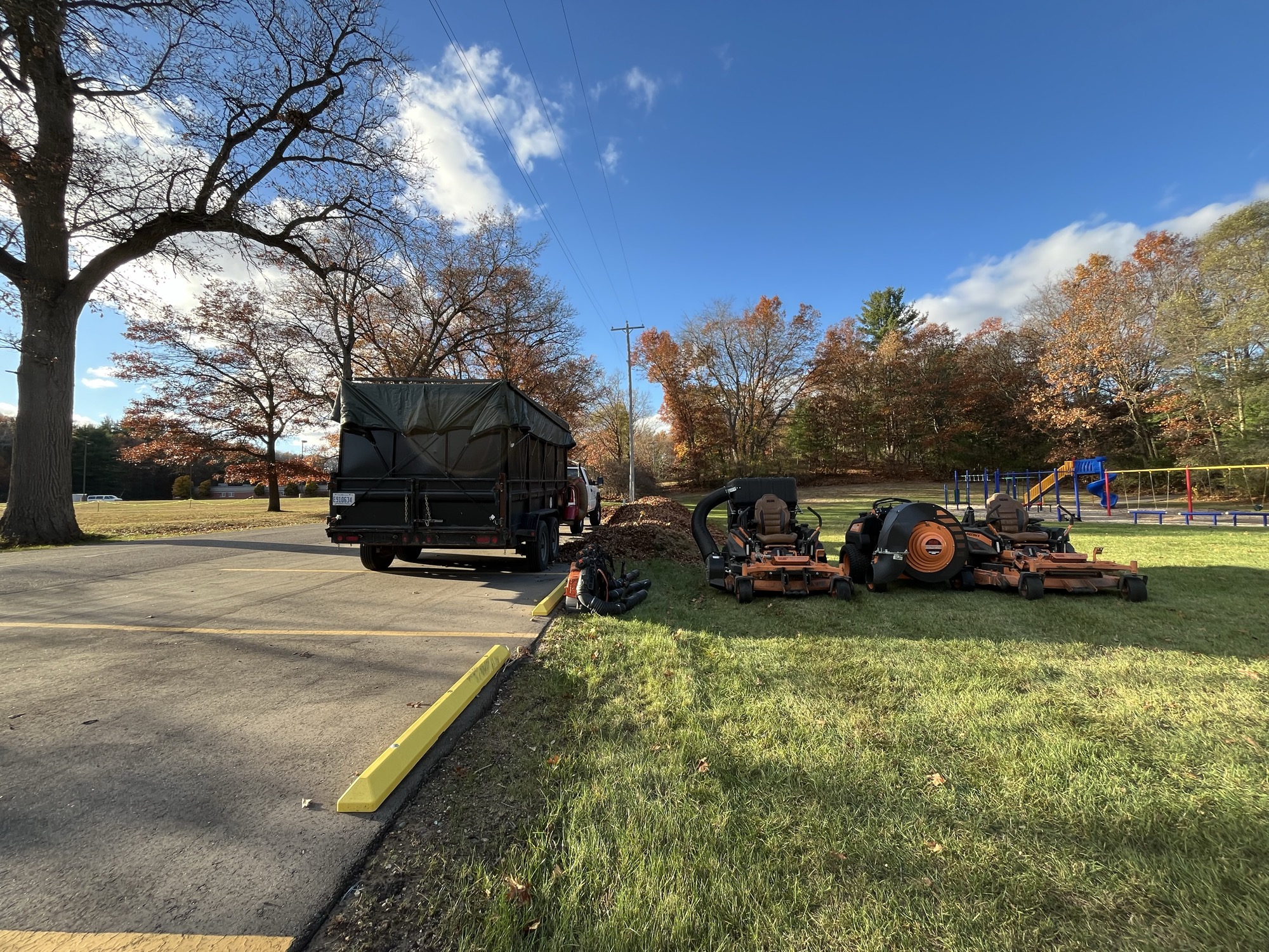 Seasonal Cleanups project by North Shade Lawn