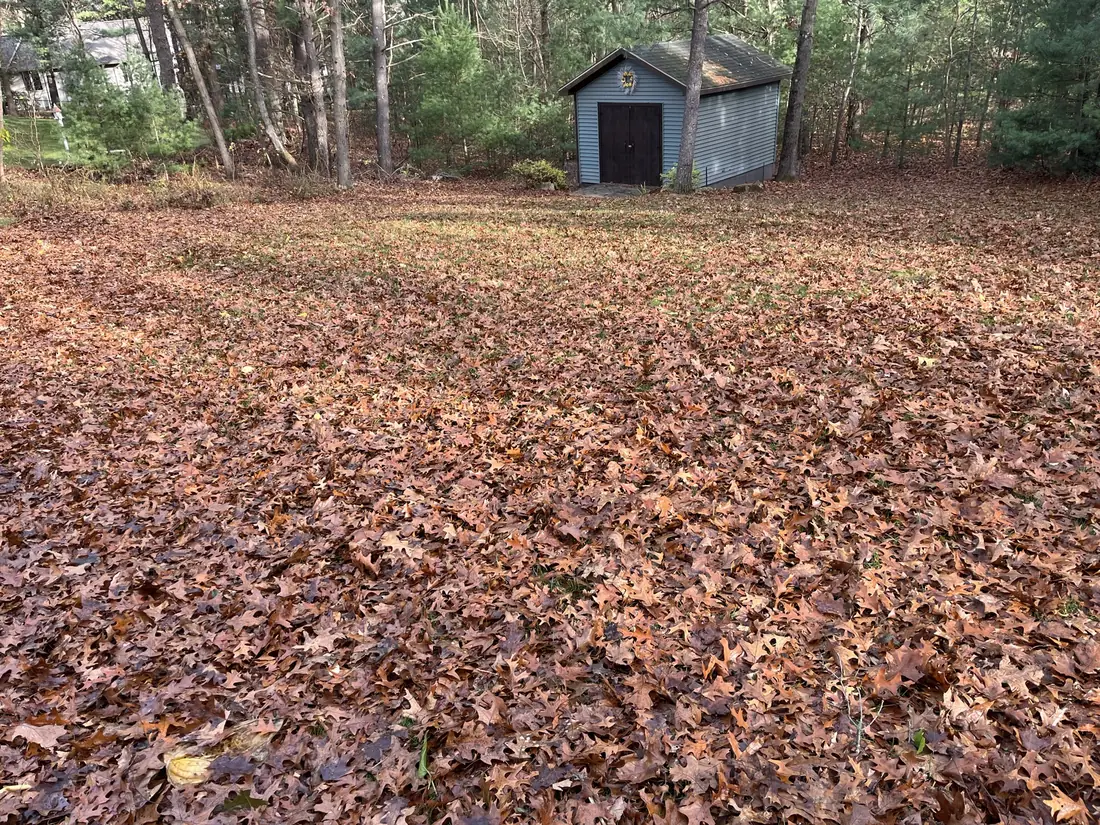 Seasonal Cleanups project by North Shade Lawn