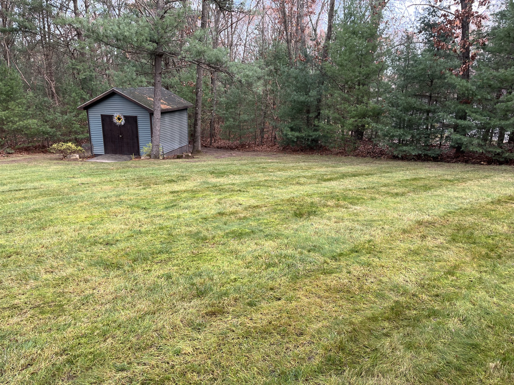 Seasonal Cleanups project by North Shade Lawn