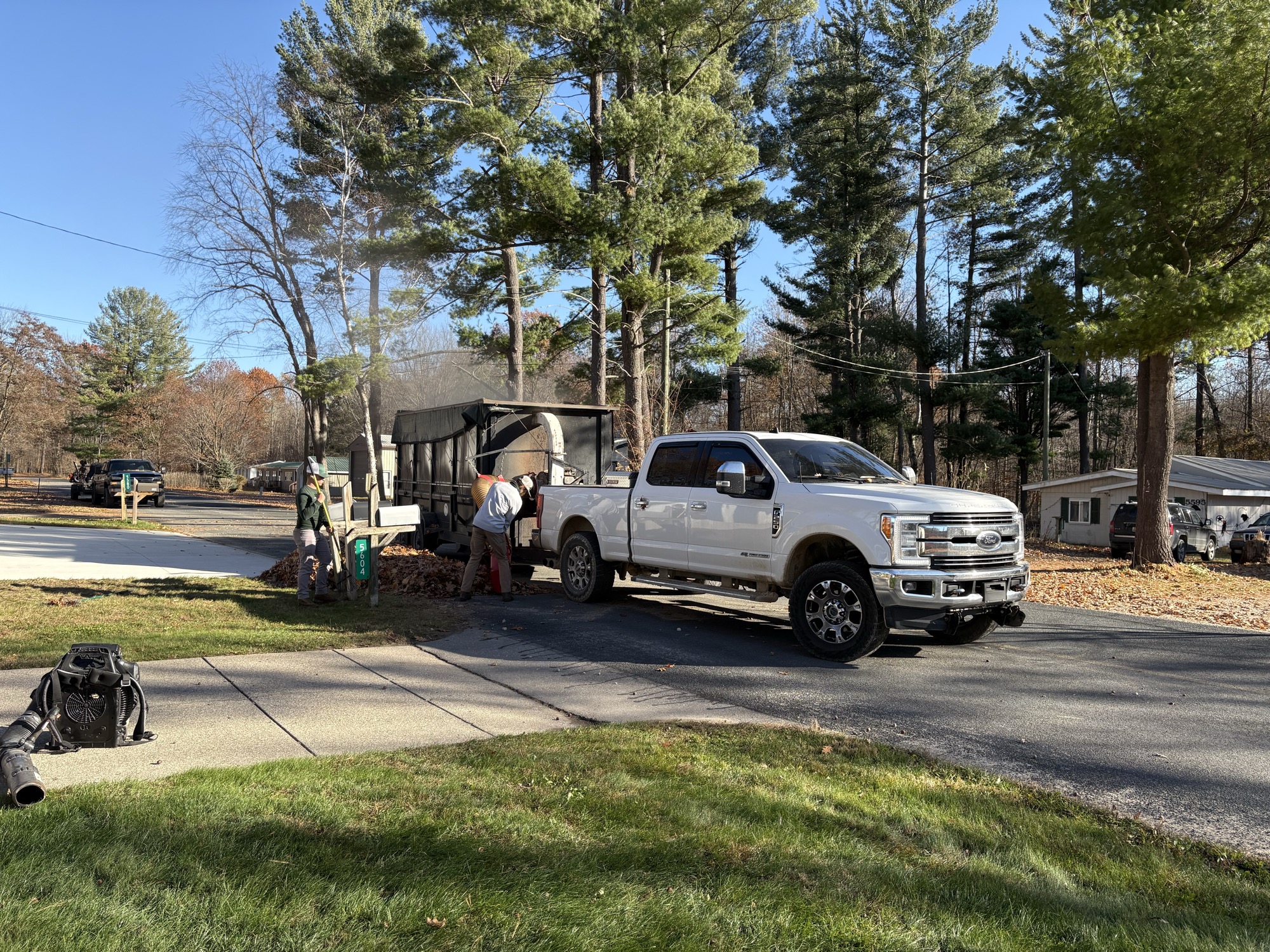 Seasonal Cleanups project by North Shade Lawn