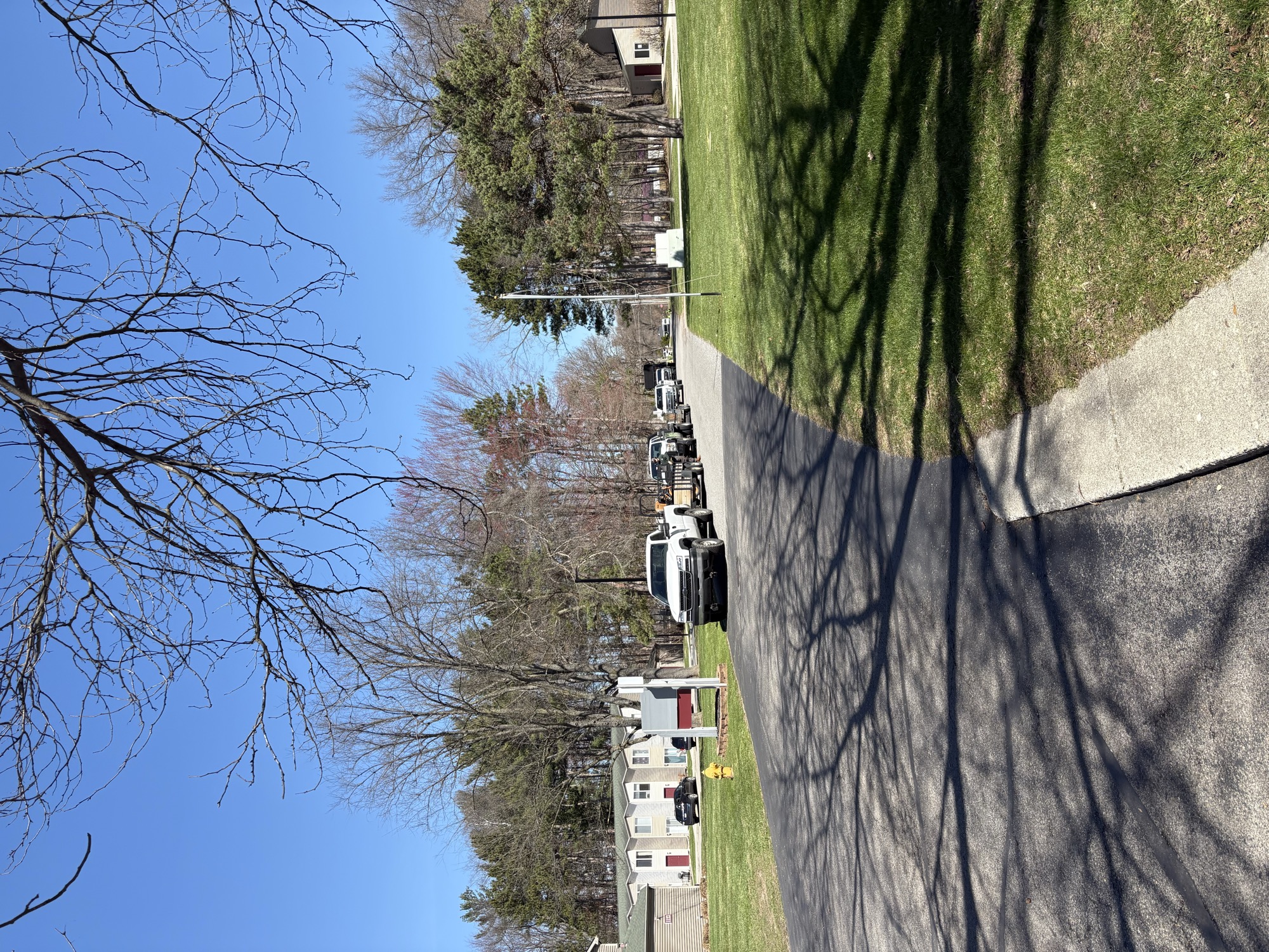 Seasonal Cleanups project by North Shade Lawn